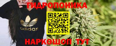прущие крисы Донской