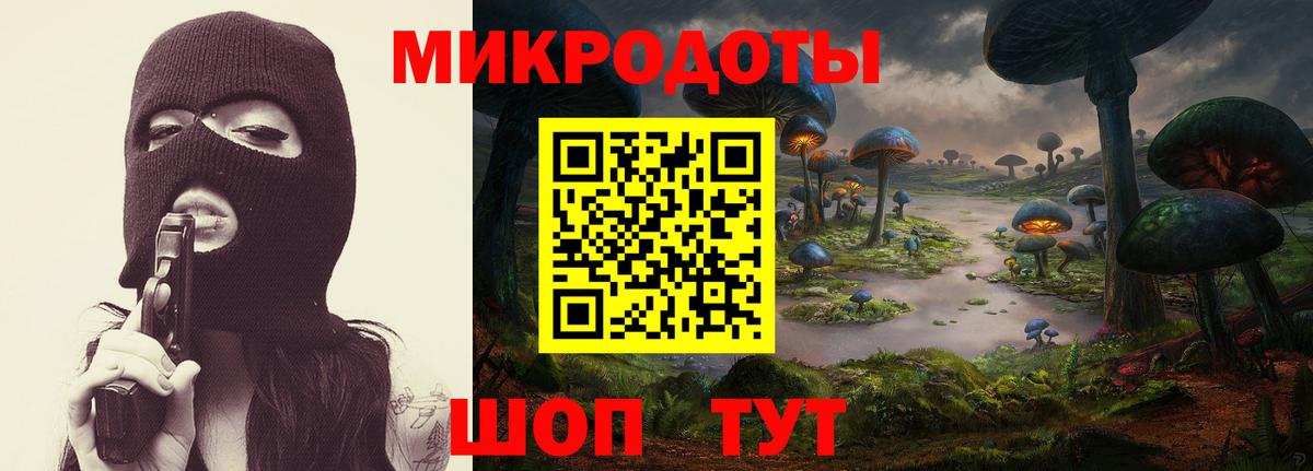 наркошоп  Галлюциногенные грибы Psilocybine cubensis  Вход с VPN  Луховицы 